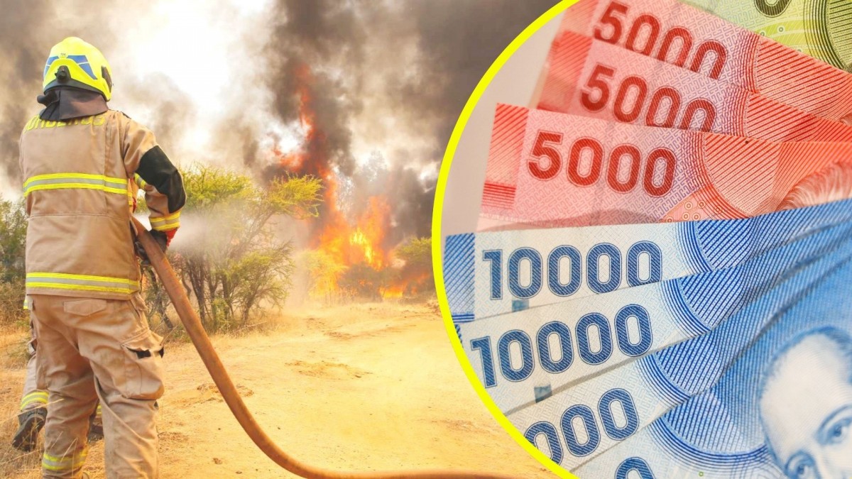 Temporada de incendios: Banco Central explica cómo recuperar el dinero quemado