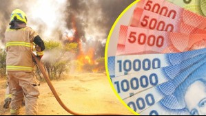 Temporada de incendios: Banco Central explica cómo recuperar el dinero quemado