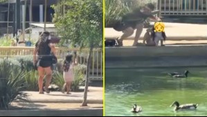 'Decidí ir a dejarlo a la laguna, pero trataba de salir': Declaración de mujer que fue acusada de robarse un patito desde un mall