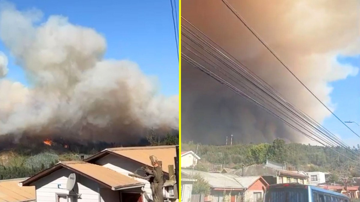 Senapred ordena evacuar sectores de las regiones del Biobío, Ñuble y La Araucanía por incendios forestales