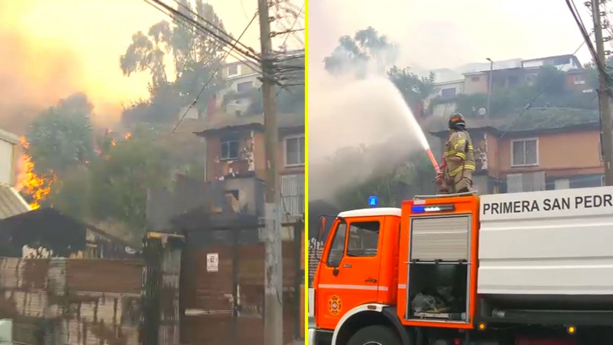 Vecinos de Penco y bomberos crean cortafuegos para controlar incendios forestales