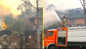 Vecinos de Penco y bomberos crean cortafuegos para controlar incendios forestales