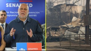 Balance incendios forestales: Gobierno confirma un fallecido en Bulnes y se refiere a toque de queda