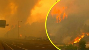Incendio forestal en el Gran Concepción: Video muestra focos activos y baja visibilidad producto del humo