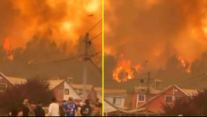 Video muestra dramático avance del fuego a viviendas en sector de Palomares en Concepción
