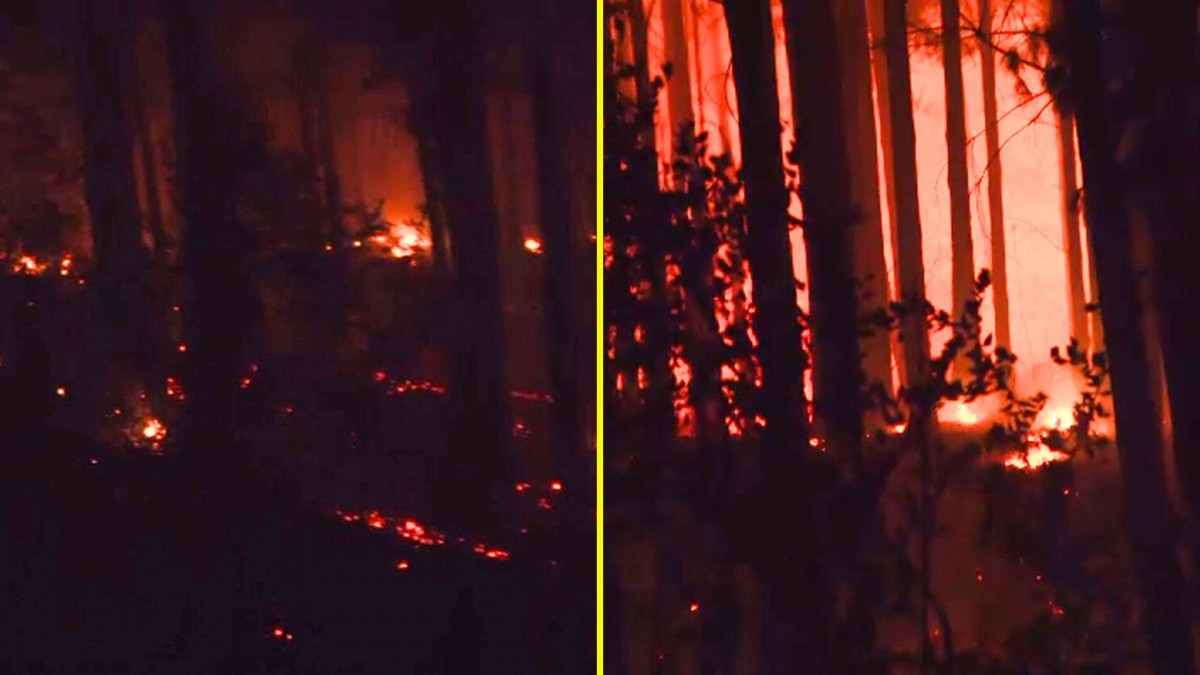 Se reactivan focos de incendio en Bulnes: Zona es altamente boscosa