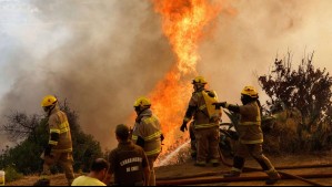 Incendios forestales: Llaman a evacuar sector de Las Pataguas en Concepción
