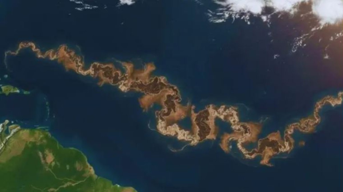 ¿Por qué en el océano Atlántico se ve una gran mancha café?