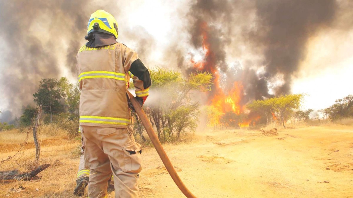 Incendios forestales: Revisa las solicitudes de evacuación emitidas por Senapred