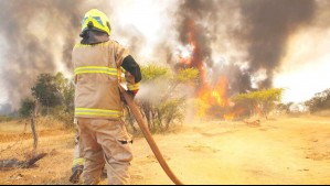 Incendios forestales: Revisa las solicitudes de evacuación emitidas por Senapred