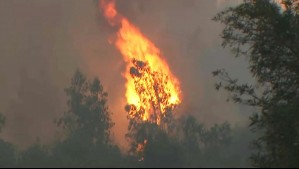 Fuego no da tregua en Chaimávida: Se reactivan focos cerca de viviendas y viento complica su control