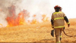 Balance de Conaf por incendios forestales: 29 focos activos en combate y más de 38 mil hectáreas consumidas