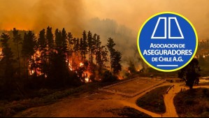 Asociación de Aseguradores de Chile llama a damnificados a verificar si cuentan con seguro de daños por incendios