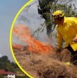Continúan los incendios forestales en la zona centro-sur del país, y en la tarde de este martes Senapred ha llamado a evacuar sectores de las regiones de Ñuble y Biobío,