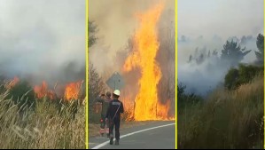 Fuego descontrolado en Florida se acerca a viviendas: Viento complica las labores de Bomberos y brigadistas