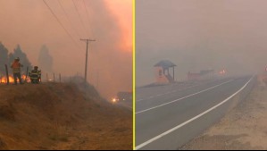 Incendio fuera de control en plena ruta: Humo y fuego de incendios forestales cortan caminos en la región de Ñuble