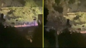 '¿Les están pegando?': Vecinos persiguieron a personas que intentaban encender focos de incendio en Penco