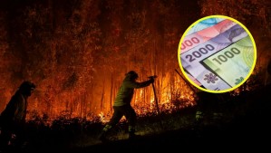 Bono de hasta $1.500.000: Conoce las ayudas anunciadas por el Gobierno para los damnificados por los incendios forestales