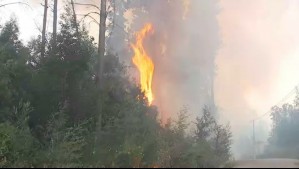 'Está el fuego vivo': Alejandro Sepúlveda relata en terreno cómo el incendio avanza a las casas en Los Puentes de Concepción