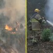 En las últimas horas de combate de incendios forestales, Bomberos denunció escuchar disparos durante las labores, mientras que un carabinero sufrió un intento de atropello. Estos hechos intensifican la duda sobre si los incendios son intencionales.