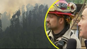 Nuevo foco de incendio forestal se produce en plantación de árboles de monocultivo y puede afectar a viviendas: Esto dijo bombero