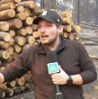 El periodista de Mega, Julio Ahumada, le tomó el pulso este miércoles a los incendios en Quillón, región de Ñuble, donde continúan los focos activos, por lo que los bomberos trabajan en terreno para controlar la emergencia.