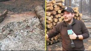 Varios focos activos en Quillón: Periodista de 'Mucho Gusto' muestra cómo han quedado algunos lugares