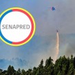 Senapred hizo un llamado a evacuar dos sectores de la comuna de Florida en el Biobío por un incendio forestal. Se trata de Paso Amarillo y Paredones: No olvides considerar a tu mascota, destacó el organismo.