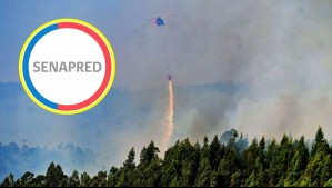 Incendios forestales: Senapred solicita evacuar sectores de la región de Ñuble, Biobío y La Araucanía este miércoles