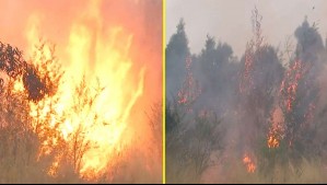 'Agarró los árboles': Video capta momento exacto en que se reactiva con fuerza un foco de incendio en Florida
