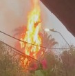 Intensas lluvias y tormentas eléctricas sorprendieron a los santiaguinos en la tarde de este domingo. Un video mostró cómo una palmera se incendió tras ser golpeada por un rayo. ¡Videos en laa siguiente nota!