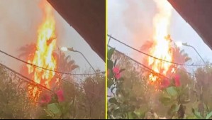 Tormenta eléctrica en Santiago: Rayo cayó sobre una palmera en Vitacura