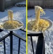 Las temperaturas de -30° en el estado de Minnesota dejaron la curiosa imagen de un tenedor con espagueti suspendido en el aire al quedar totalmente congelado por el frío polar.