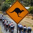 Un inesperado participante se coló en medio del pelotón de avanzada de la vuelta ciclista de Australia: un canguro que provocó una aparatosa caída y perjudicó al líder de la etapa.