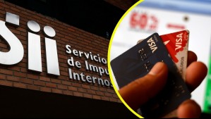 Destacan Shein, Aliexpress y Temu: Más de 41 millones dólares recaudó el SII por IVA a productos comprados en el extranjero