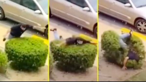 ¿Todo por un like?: Captan a hombre dañando un arbusto en Concón mientras otro lo graba