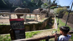 Zoológico del Parque Metropolitano vuelve a abrir sus puertas: Las entradas son gratuitas y debes reservarlas