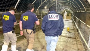 Investigan triple homicidio frustrado en Puente Alto: Víctimas fueron baleadas en una pasarela y dos de ellas son menores de edad