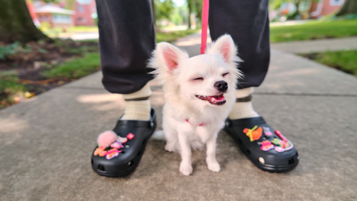 'Duración, diseño y tecnología': Las razones detrás del alto precio de las Crocs
