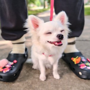 'Duración, diseño y tecnología': Las razones detrás del alto precio de las Crocs