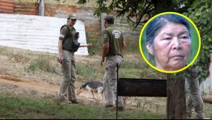 Día 16 de rastreo en casa de Julia Chuñil: Evalúan utilizar maquinaria pesada para desarmar bodega en el terreno
