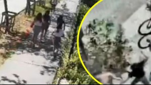 Integrante de 'La Jauría' hace acusación: 'La señora a la que robamos me pegó con la cartera'