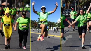 Reforest Running by Mega 2026: todo lo que debes saber sobre la carrera que combina deporte y sostenibilidad