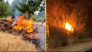 Incendios forestales por impactos de rayos: Videos muestran fuego causado por tormentas eléctricas en región de Ñuble