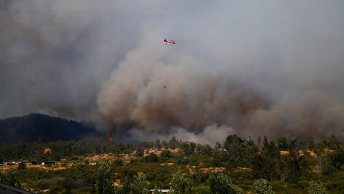 Senapred ordena evacuar sector de una comuna del Ñuble debido a un incendio forestal