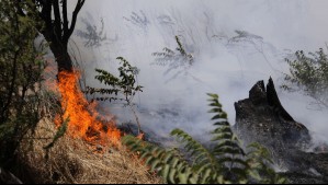 Alerta Roja por incendio forestal en Collipulli: Un rayo cayó al interior de la Reserva Natural Malleco