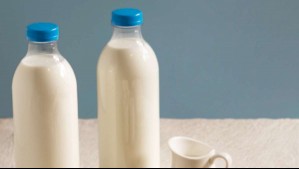 Cierra empresa chilena de lácteos tras 56 años de funcionamiento: Estos son los motivos