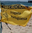La Seremi de Salud de Valparaíso prohibió el baño y actividades recreativas en cinco playas de Algarrobo y El Quisco por presencia de fragata portuguesa. Autoridad entregó medidas de prevención y qué hacer ante una picadura.