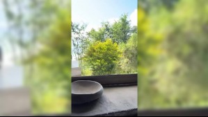 'Impagable': Rosario Bravo muestra la vista desde su casa frente al lago Maihue