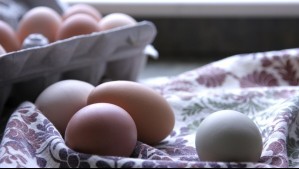 ¿Cómo saber si un huevo está malo?